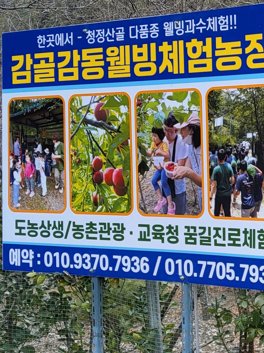 a217691aa13602b3c04522e52a878daa_1768956674_4734.jpeg